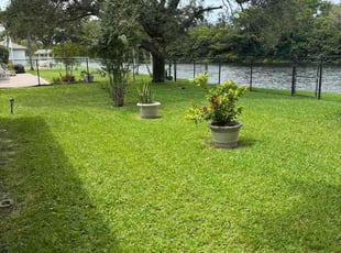 Sheryl M.'s Yard Cutting service result
