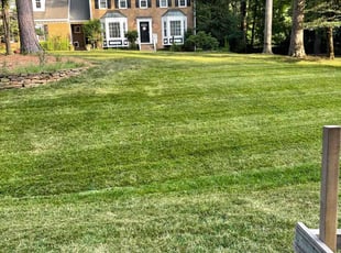 William H.'s Lawn Care service result