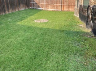 Robert S.'s Lawn Mowing service result