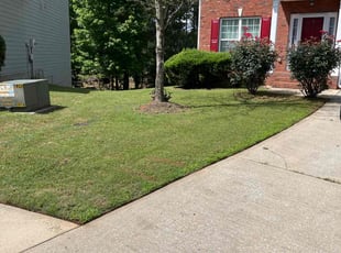 Soy T.'s Lawn Mowing service result