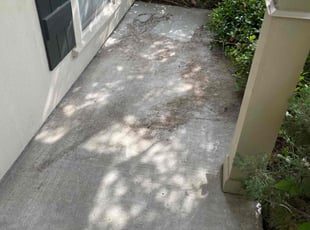 Cleanups by Sheba Kelly for Patrick H. in Baton Rouge, LA
