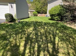 Andrew R.'s Lawn Care service result