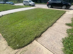 Tim L.'s Lawn Mowing Service service result