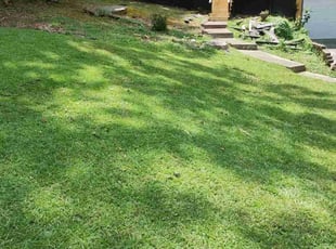 Dan Q.'s Yard Cutting service result