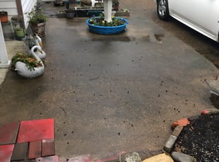 Leaf Removal by Randall Whalen for Linda H. in Memphis, TN
