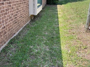 Leaf Removal by Osmin Salvador for Rachel W. in Garland, TX