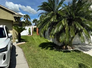Linda P.'s Yard Cutting service result