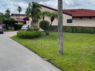 Bush Trimming by Dustin Yaklin for Shanay S. in Tamarac, FL