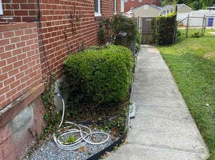 Cleanups by Santana Reed for Yolanda A. in Baltimore, MD