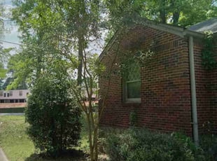 Bush Trimming by Lionel Lee for Johnny C. in Decatur, GA