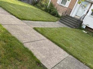 William C.'s Lawn Care service result