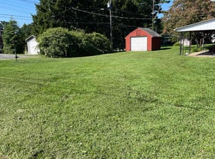 Dan W.'s Grass Cutting service result