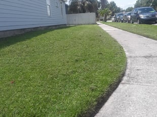 Susana P.'s Grass Cutting service result