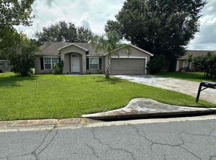 Tami S.'s Lawn Mowing service result