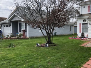 Leaf Removal by Chris Wimler for Linda P. in Hartford, CT