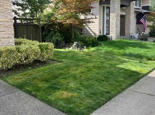 Pam B.'s Lawn Service service result