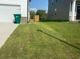 Sapriya M.'s Lawn Maintenance service result