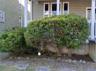 Bush Trimming by Lakeith Carlyle for Bell C. in Norfolk, VA