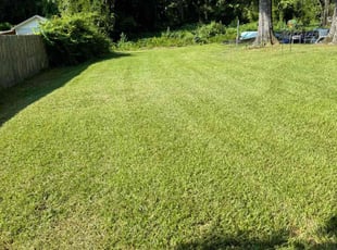 Liz W.'s Lawn Service service result