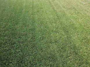 John V.'s Lawn Care service result