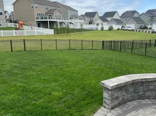 Jbanisha M.'s Yard Cutting service result