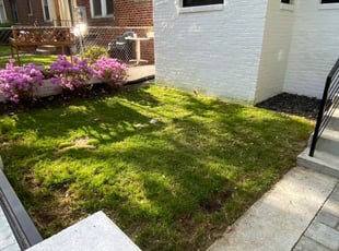 Cleanups by Marika Crawford for Cody K. in Washington, DC