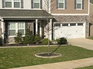 Steve J.'s Yard Cutting service result