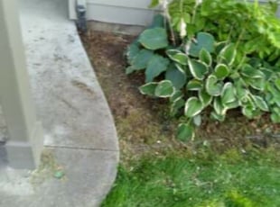 Weeding by Ryan Sheehan for Cindy S. in Spokane, WA