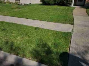 Robert S.'s Lawn Mowing Service service result