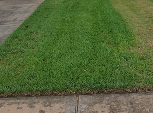 Ken L.'s Lawn Mowing service result