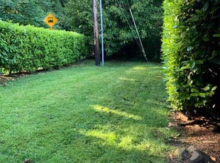 Joe C.'s Lawn Service service result