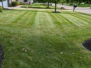 Lexi B.'s Grass Cutting service result