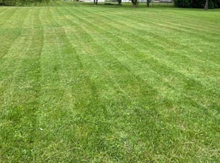 Julia A.'s Lawn Mowing service result