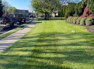 Sandra O.'s Lawn Mowing service result