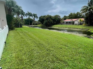 Richard R.'s Yard Cutting service result