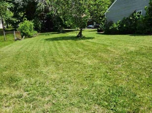 Darryl P.'s Lawn Mowing Service service result
