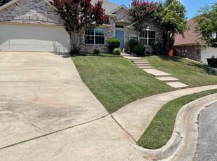 Burneice S.'s Lawn Mowing service result