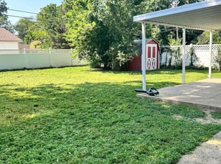 Matthew M.'s Grass Cutting service result