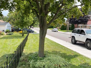 Pam H.'s Lawn Service service result