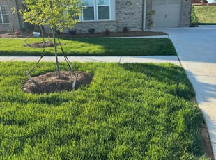 Sandra A.'s Lawn Care service result