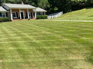 Josh C.'s Yard Cutting service result