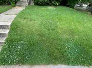 Kent F.'s Lawn Service service result