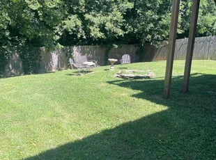 Rodney T.'s Lawn Mowing service result
