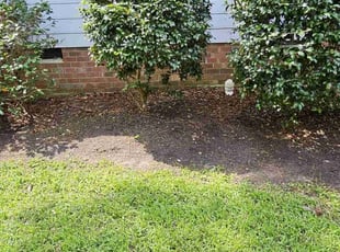Weeding by Michael Everitt for Pamela M. in Midlothian, VA