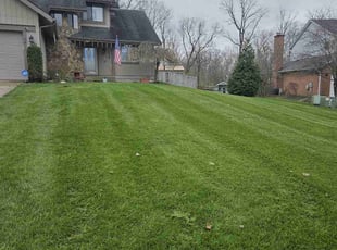 Chris C.'s Lawn Mowing service result