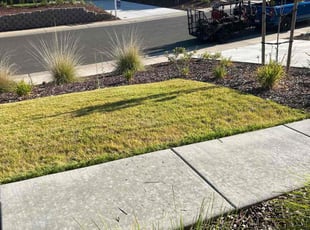 Joyce Z.'s Lawn Maintenance service result
