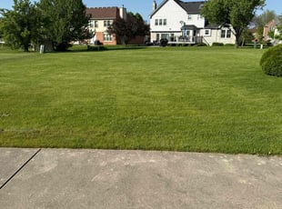 Shannon G.'s Lawn Mowing Service service result