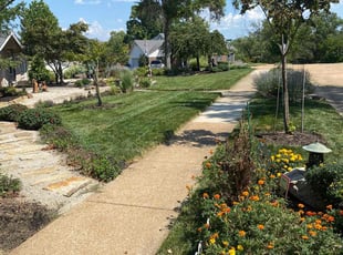 Connie K.'s Lawn Care service result