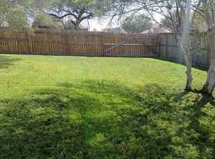 Erin V.'s Lawn Service service result