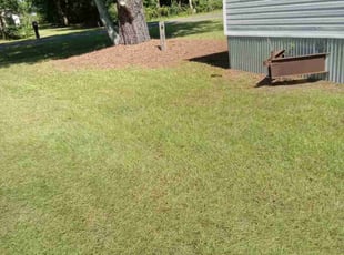 Emile P.'s Lawn Mowing service result